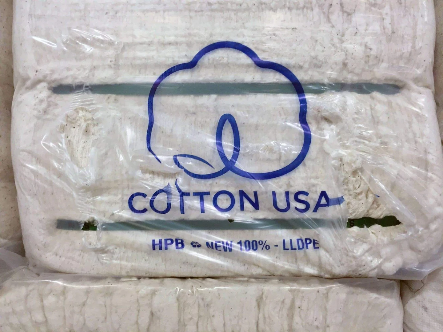 coton américain